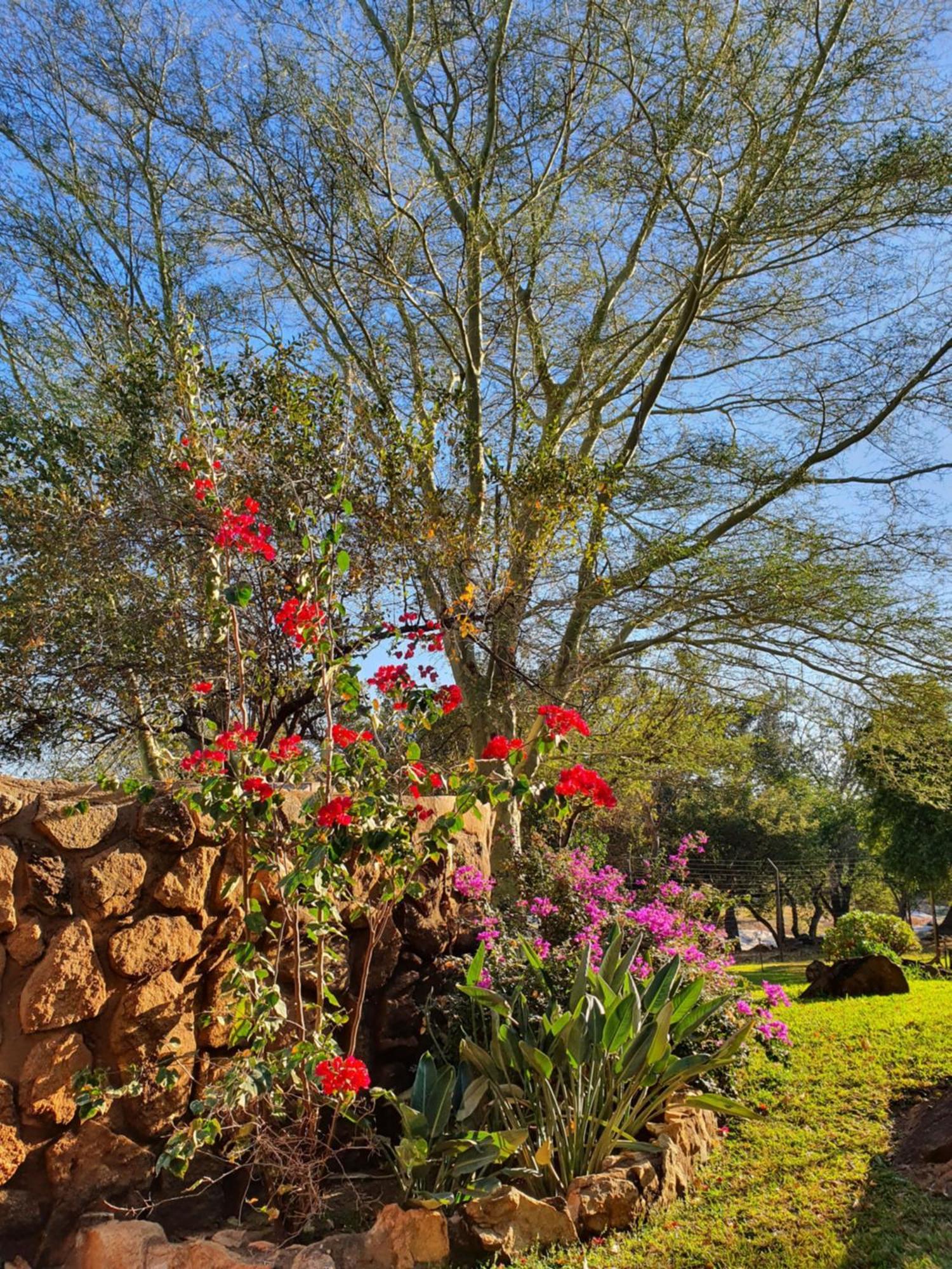 Hasekamp Family Bush Lodge Hoedspruit Exterior photo