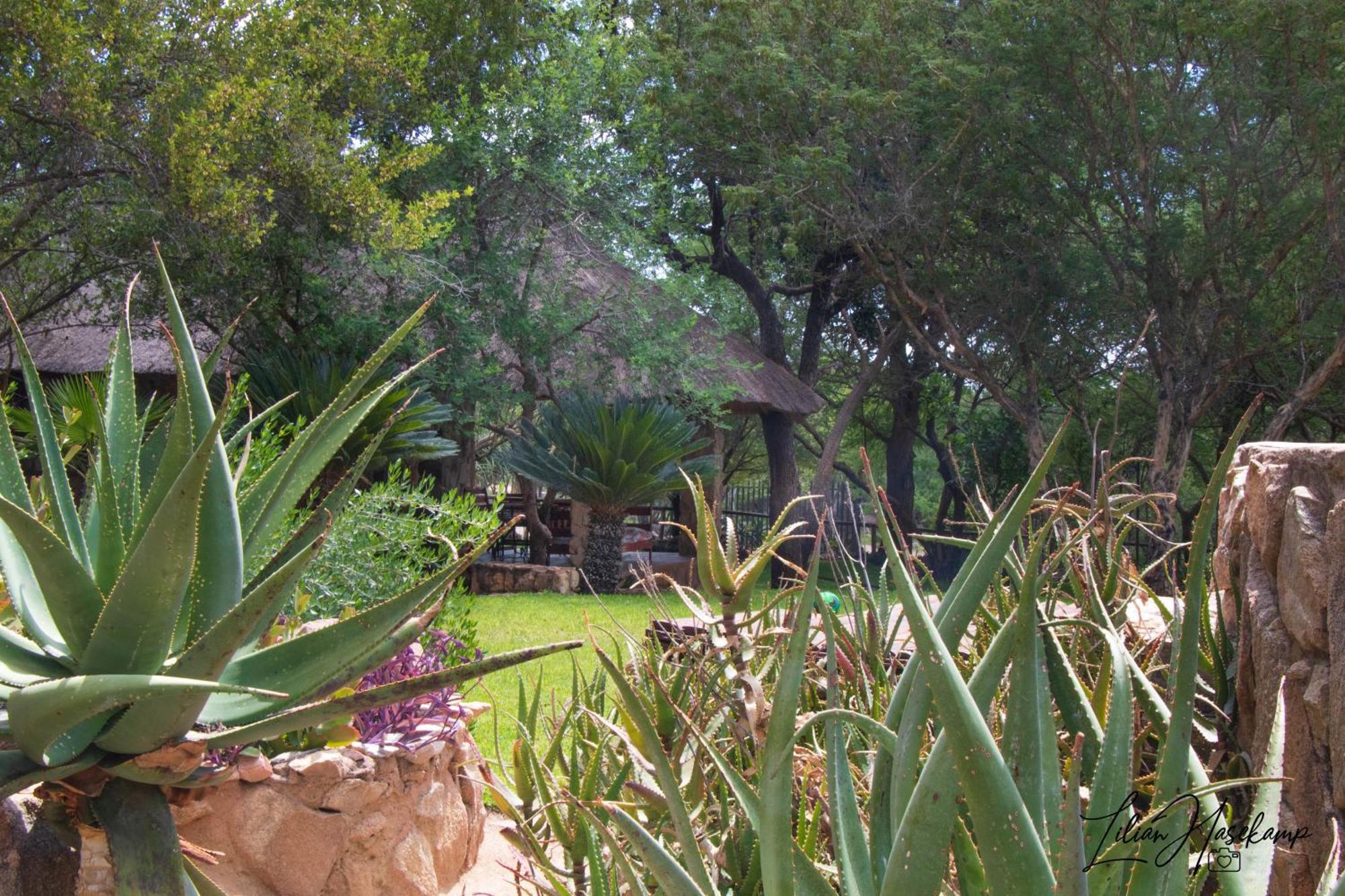 Hasekamp Family Bush Lodge Hoedspruit Exterior photo